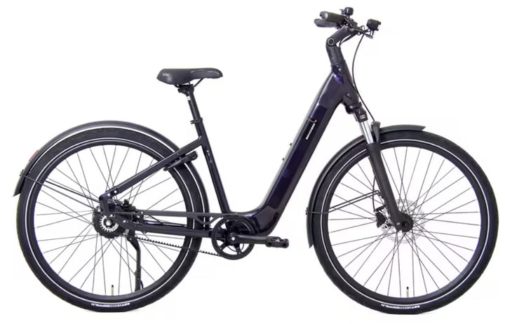 Brinckers | BRNO R2 - DikkeFiets