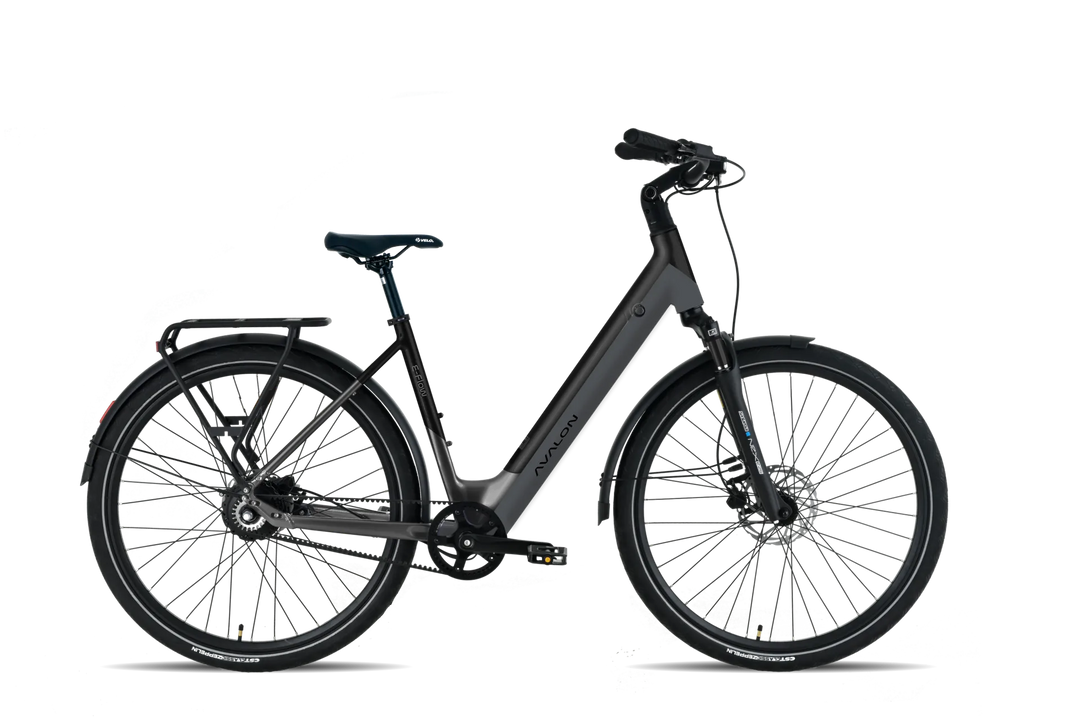 Avalon I E-Flow - DikkeFiets
