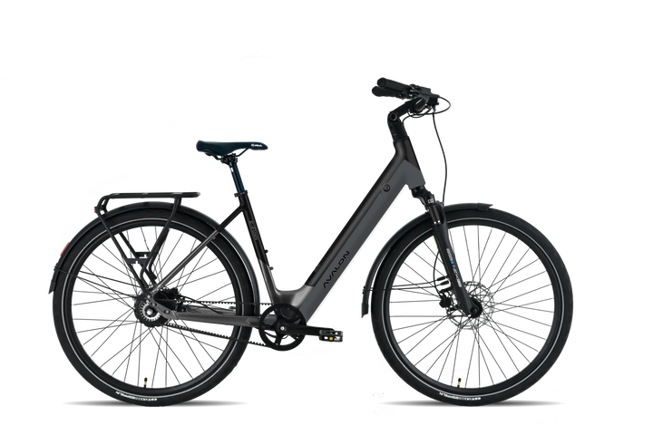 Avalon I E-Flow - DikkeFiets