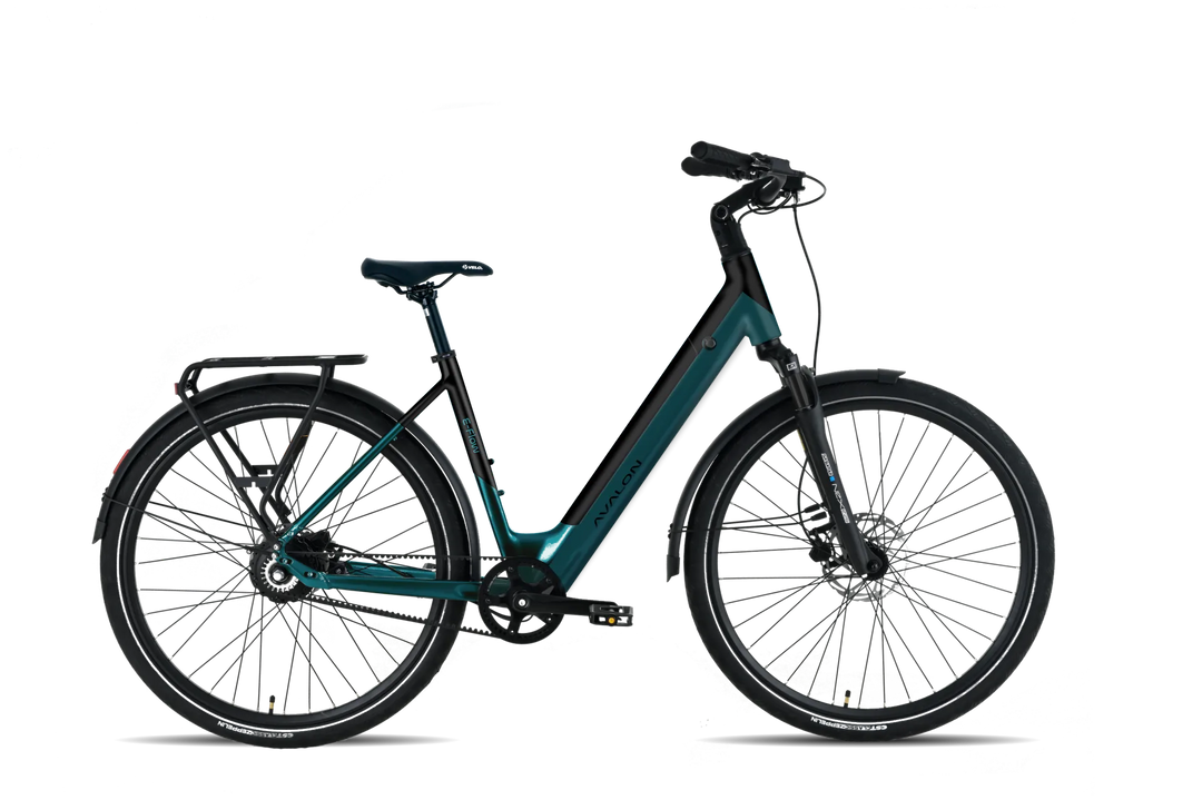 Avalon I E-Flow - DikkeFiets
