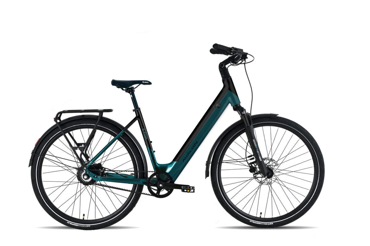 Avalon I E-Flow - DikkeFiets