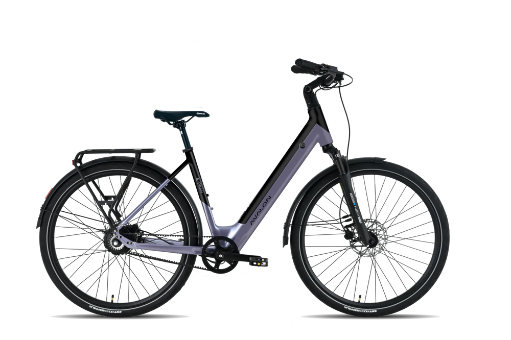 Avalon I E-Flow - DikkeFiets