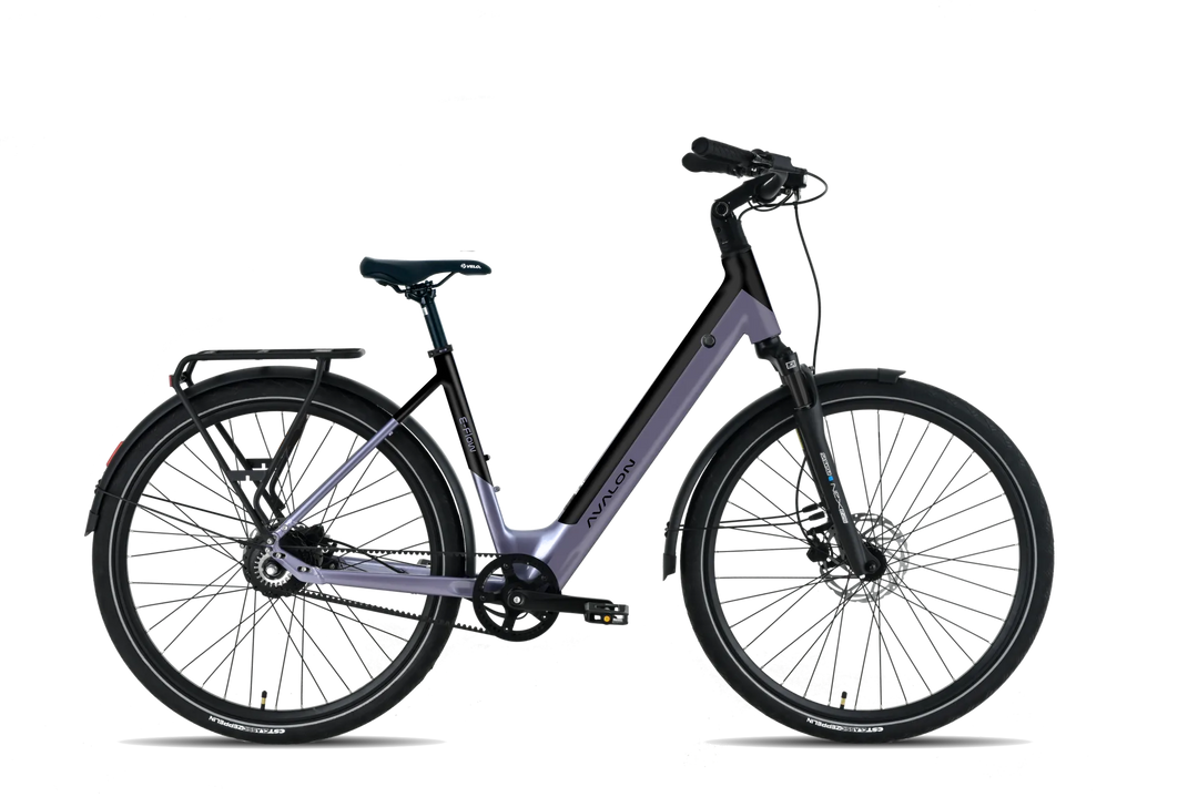 Avalon I E-Flow - DikkeFiets