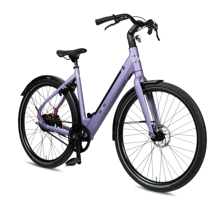 biXbi FAE - DikkeFiets