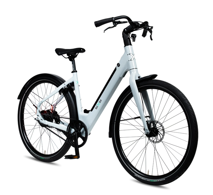 biXbi FAE - DikkeFiets