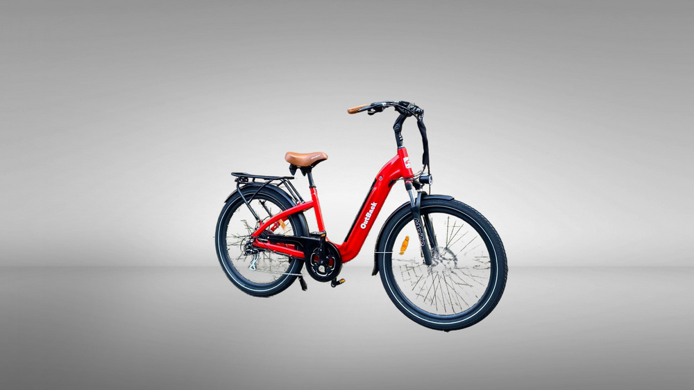 DIKKEFIETS™ | 'OUTBACK 27.5 inch' - DikkeFiets
