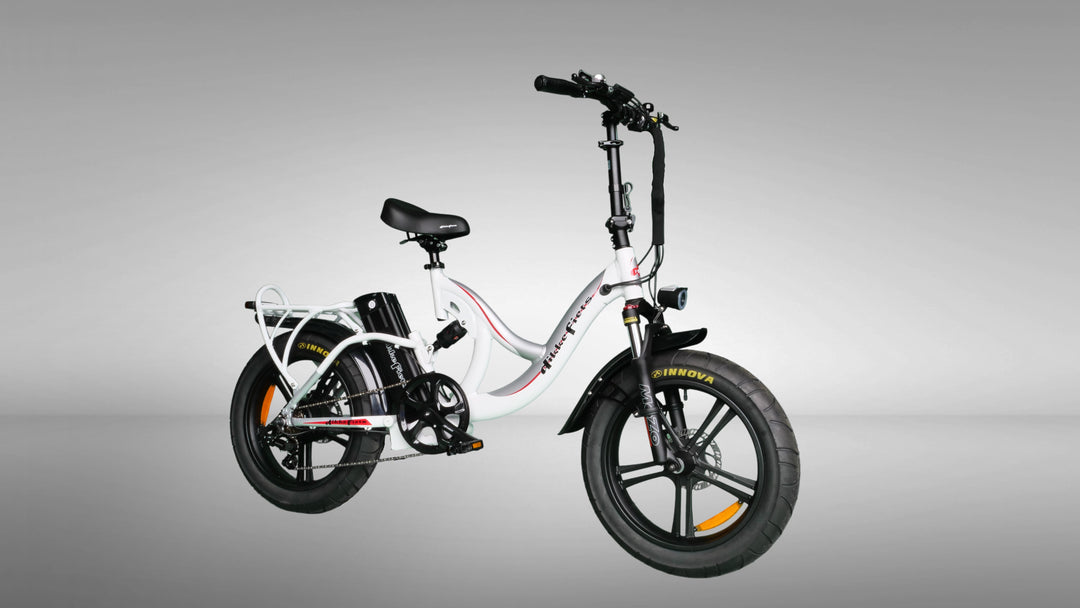 DikkeFiets™ | 'Comfort Sport' Lente actie !!! - DikkeFiets